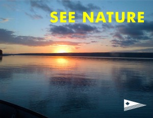 see_nature